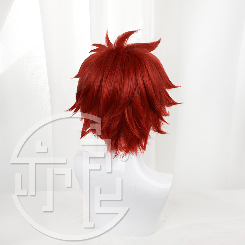Anime SK8 nieskończoność Reki  – Anime Cosplay Red Hair recenzja i cena