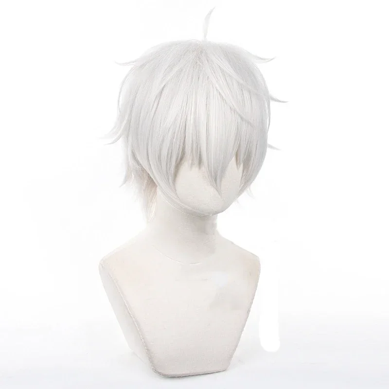 Peruki do cosplayu anime Seish – Cosplay Anime White Hair recenzja i cena