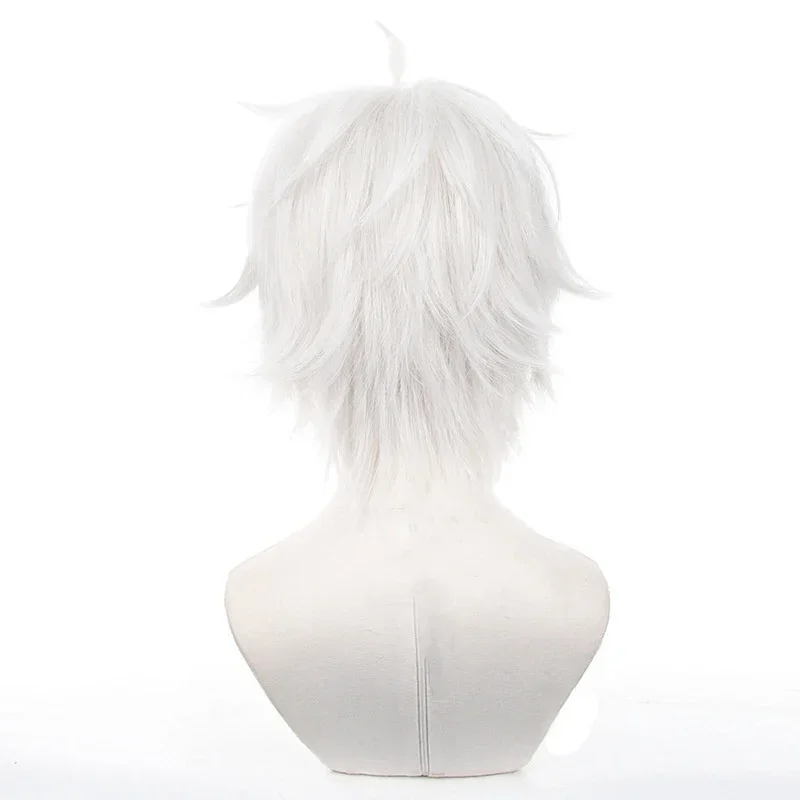 Peruki do cosplayu anime Seish – Cosplay Anime White Hair recenzja i cena