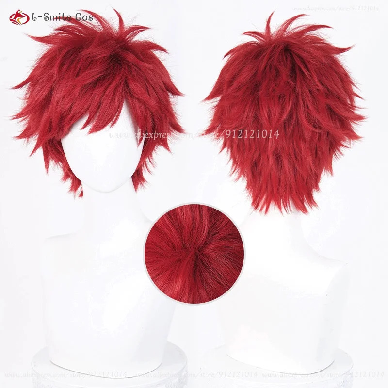 Anime Reinhard Van Astrea Cosp – Anime Cosplay Red Hair recenzja i cena