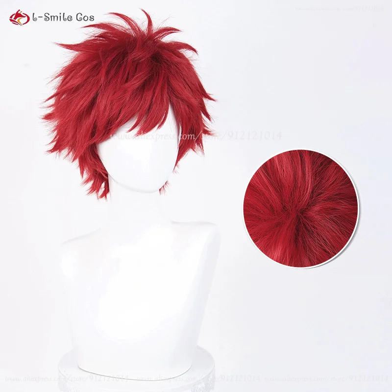 Anime Reinhard Van Astrea Cosp – Anime Cosplay Red Hair recenzja i cena